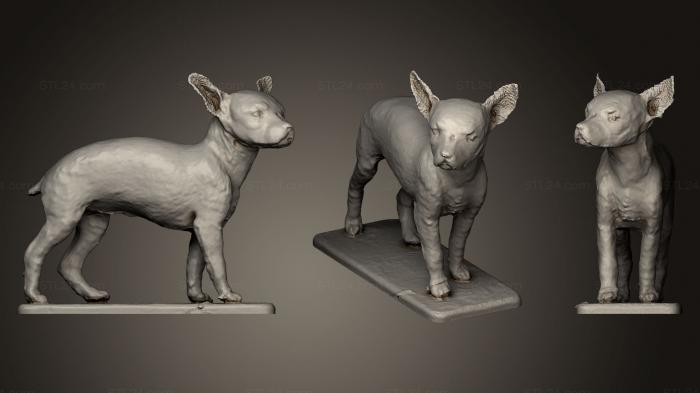 Статуэтки животных (Миниатюрный пинчер, STKJ_0584) 3D модель для ЧПУ станка